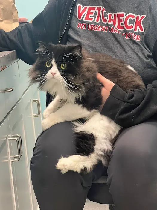 VetCheck Pet Urgent Care Center - Carmel Picture 9