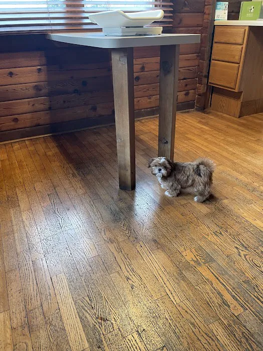 Log Cabin Animal Hospital Picture 7