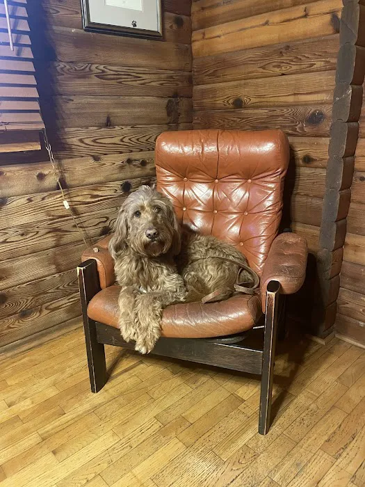 Log Cabin Animal Hospital Picture 8