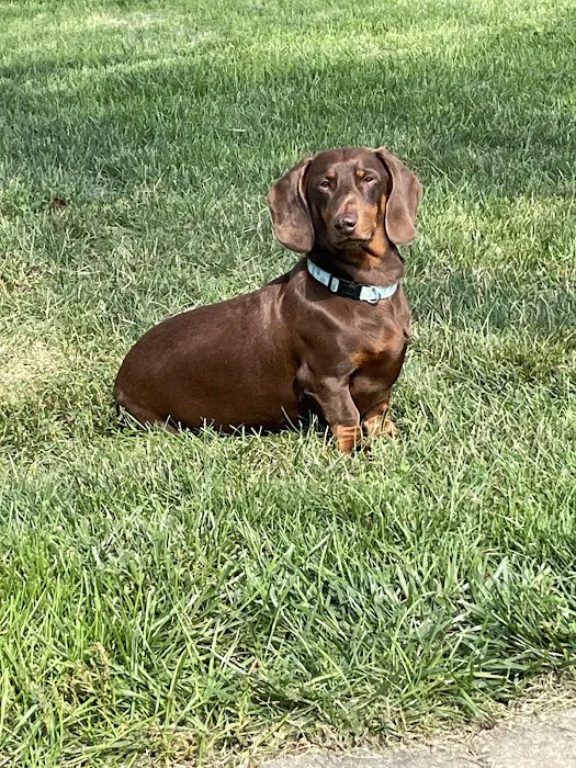 Fall Creek Veterinary Medical Center Picture 4