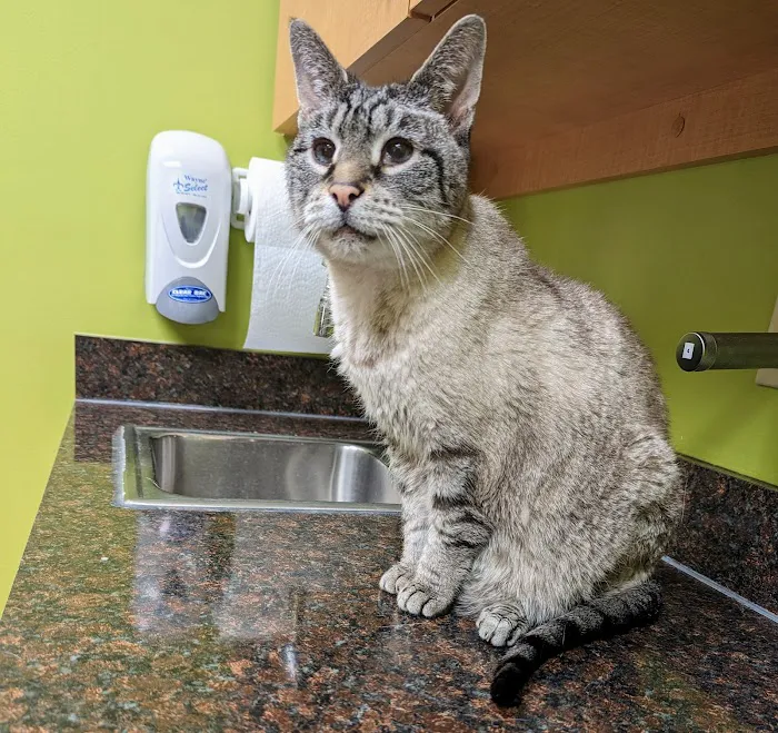 Fall Creek Veterinary Medical Center Picture 2
