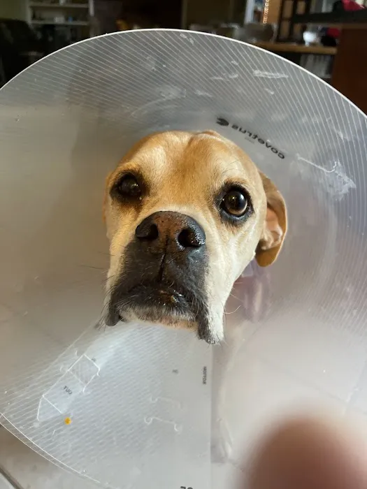 Fishers Veterinary Hospital Picture 9