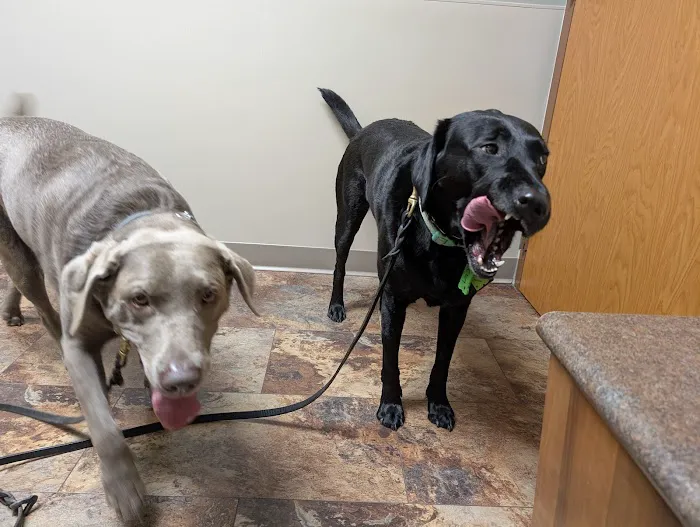 Fishers Veterinary Hospital Picture 10