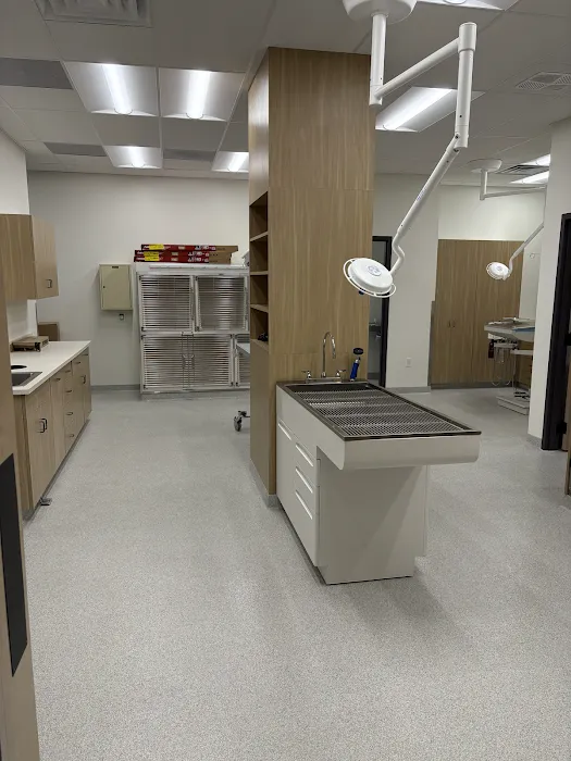 Pet Hospital of Fishers Picture 2