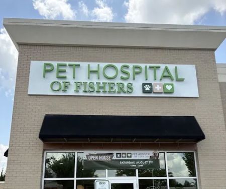 Pet Hospital of Fishers