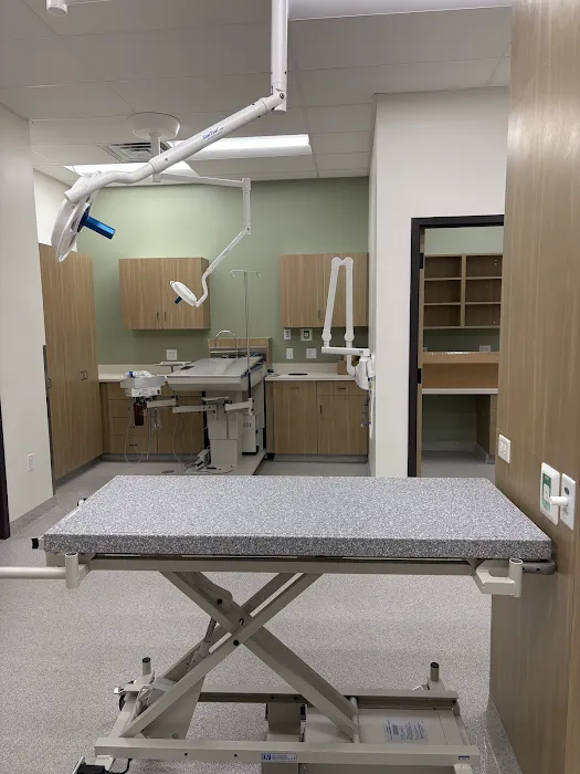 Pet Hospital of Fishers Picture 3