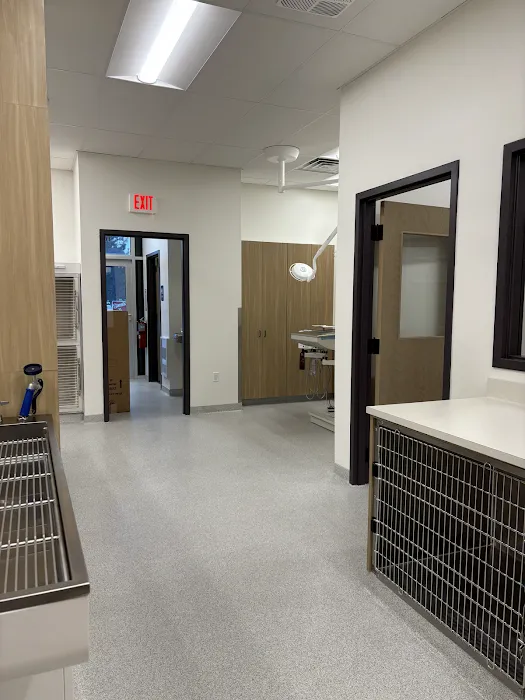 Pet Hospital of Fishers Picture 7