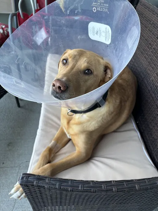 Parkside Animal Hospital Picture 1