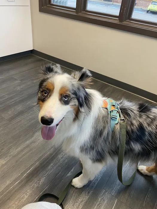 Parkside Animal Hospital Picture 5