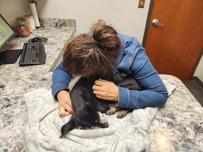 Parkside Animal Hospital Picture 6