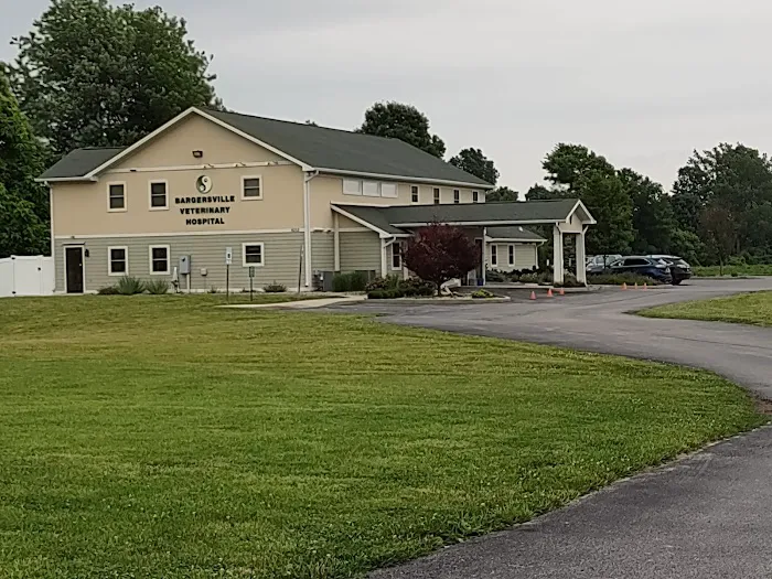 Bargersville Veterinary Hospital & Wellness Center, A Thrive Pet Healthcare Partner Picture 2