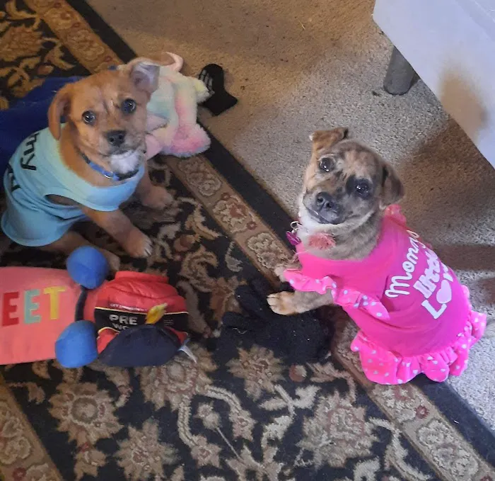 Good Shepherd Veterinary Services Picture 8