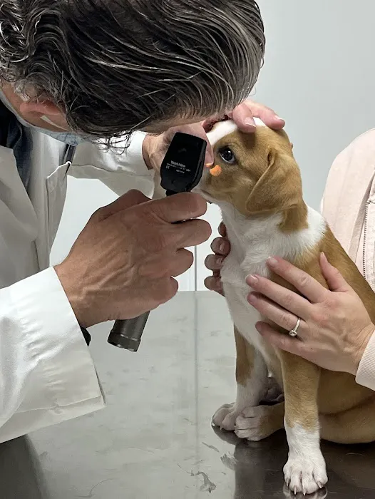 Associated Animal Clinic of Indiana Inc - Larry Reyman,DVM Picture 4