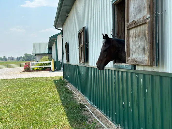 Horse & Hound Veterinary Clinic Picture 3