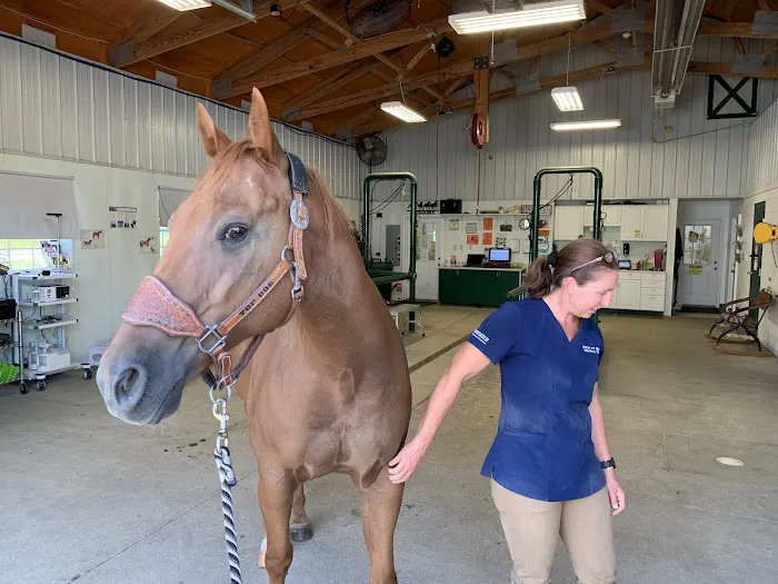 Horse & Hound Veterinary Clinic Picture 1