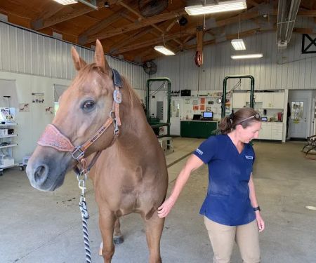 Horse & Hound Veterinary Clinic