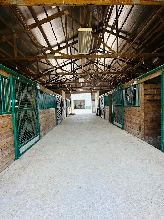 Horse & Hound Veterinary Clinic Picture 5
