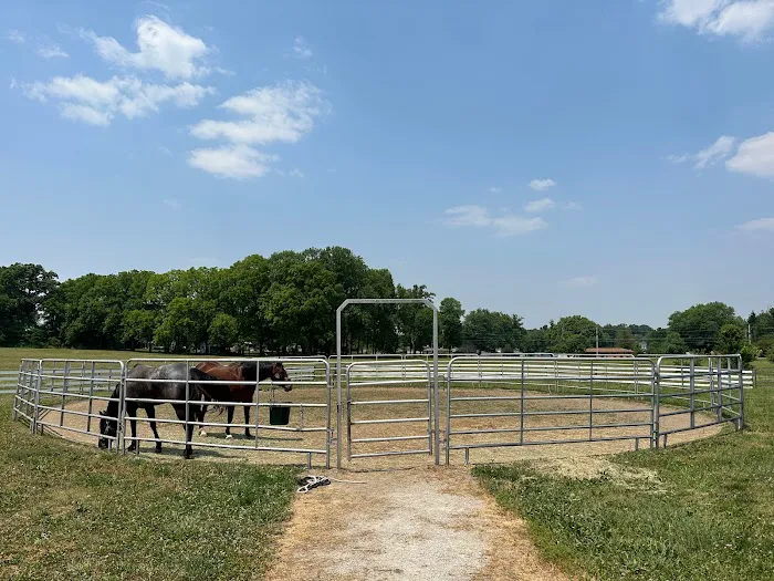 Horse & Hound Veterinary Clinic Picture 8