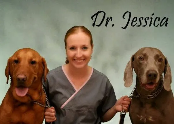 St Francis Pet Hospital - Centerton Picture 3