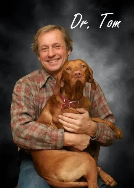 St Francis Pet Hospital - Centerton Picture 9
