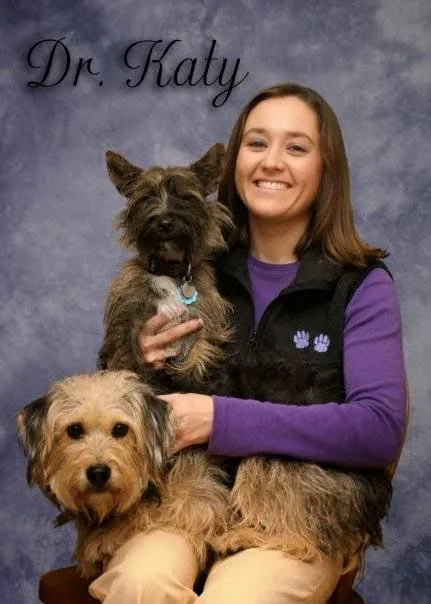 St Francis Pet Hospital - Centerton Picture 8