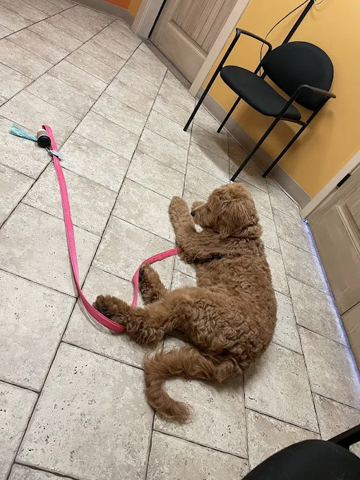 Community Pet Healthcare Picture 1