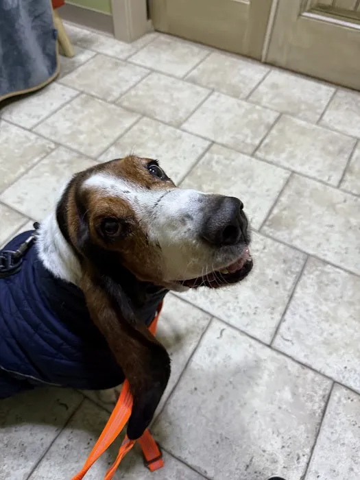 Community Pet Healthcare Picture 8