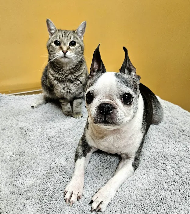 Community Pet Healthcare Picture 6
