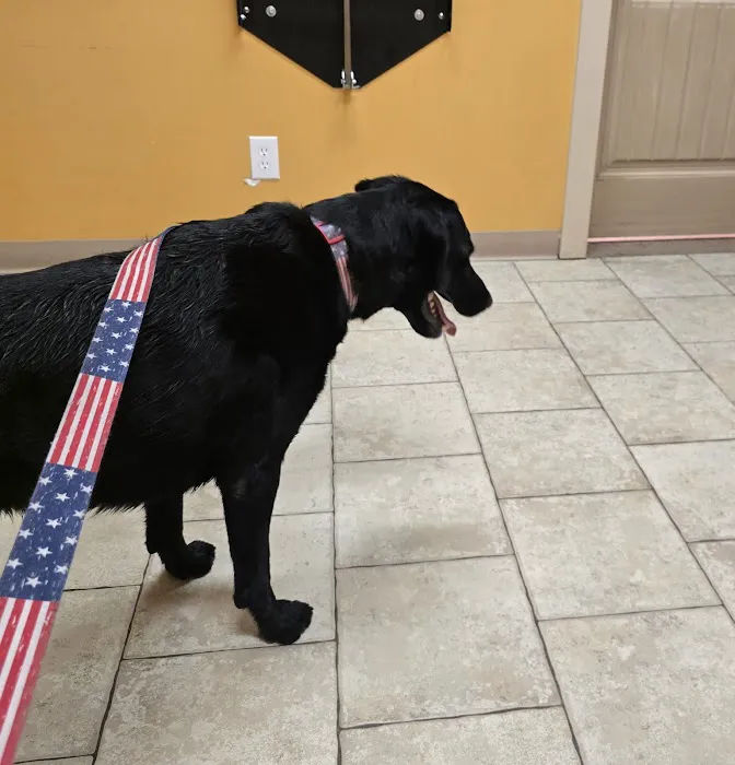 Community Pet Healthcare Picture 7