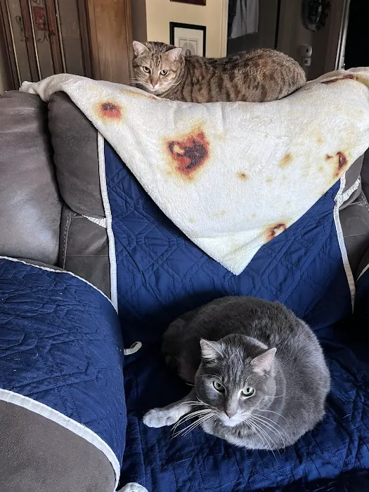 Community Pet Healthcare Picture 4
