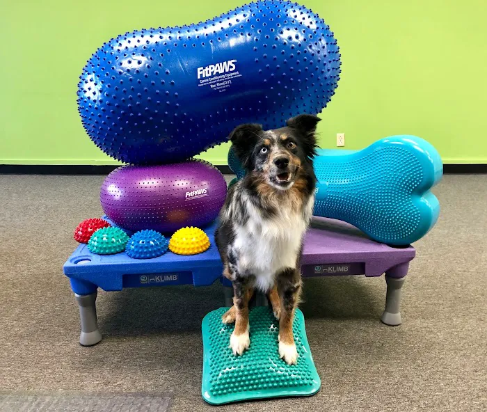 Indy Pet Core Picture 3