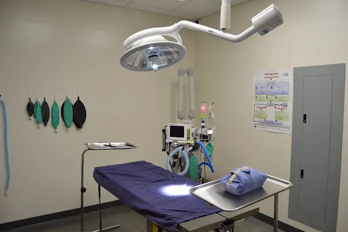 Vetco Total Care Animal Hospital Picture 3