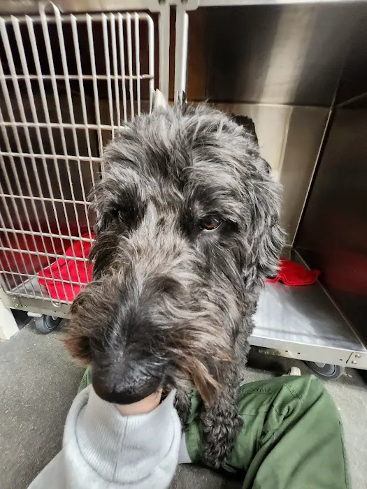 Vetco Total Care Animal Hospital Picture 9