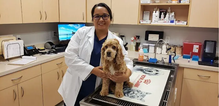 Zionsville Pet Wellness Clinic Picture 6