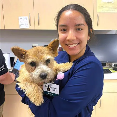 Zionsville Pet Wellness Clinic Picture 8