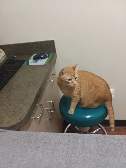 Zionsville Country Vet Clinic Picture 3