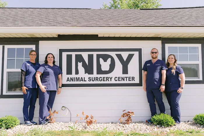 Indy Animal Surgery Center Picture 3