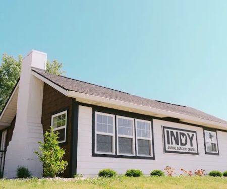 Indy Animal Surgery Center