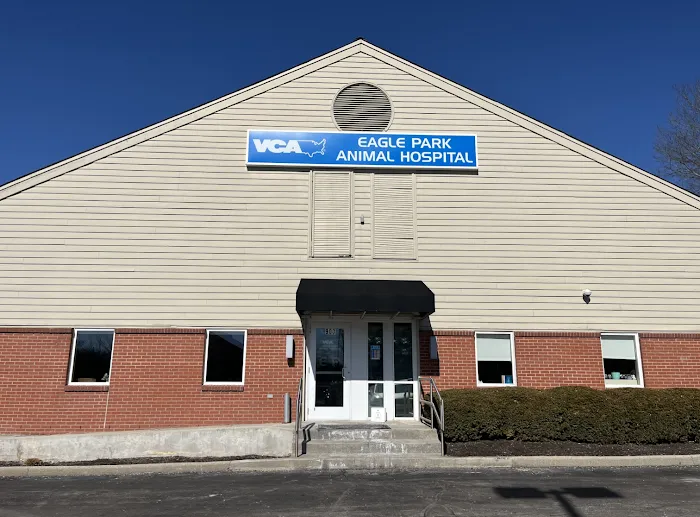 VCA Eagle Park Animal Hospital Picture 3
