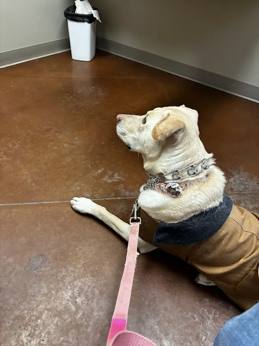 Zionsville Animal Hospital Picture 1