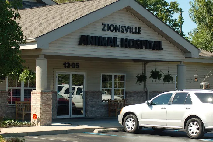 Zionsville Animal Hospital Picture 2