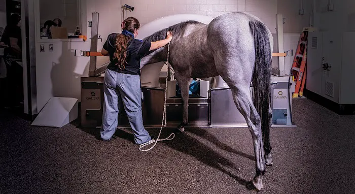 Caesars Entertainment Equine Specialty Hospital Picture 2