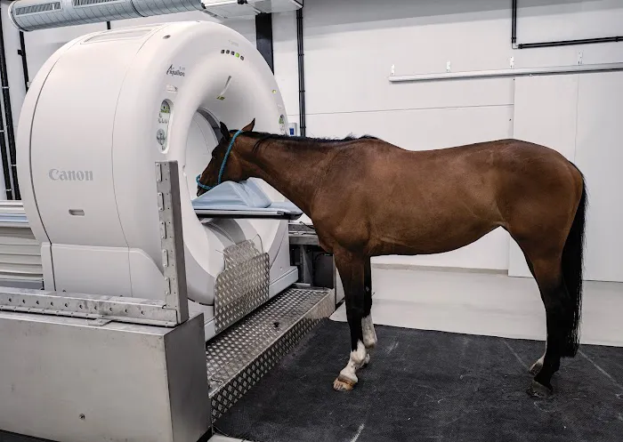 Caesars Entertainment Equine Specialty Hospital Picture 3