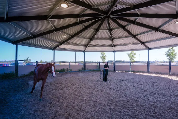 Caesars Entertainment Equine Specialty Hospital Picture 4