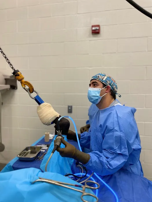Caesars Entertainment Equine Specialty Hospital Picture 6