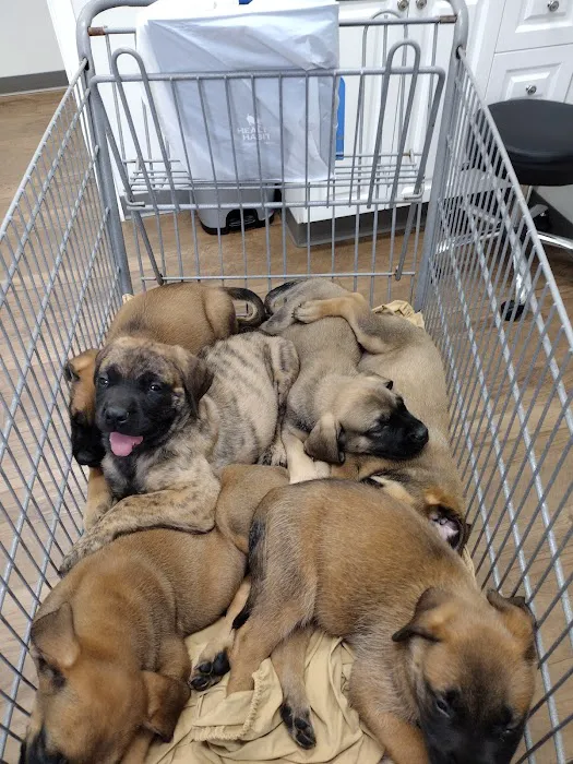 Heartland Vet Care Picture 3