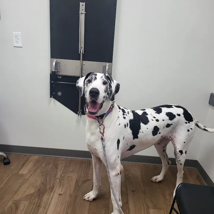 Heartland Vet Care Picture 10