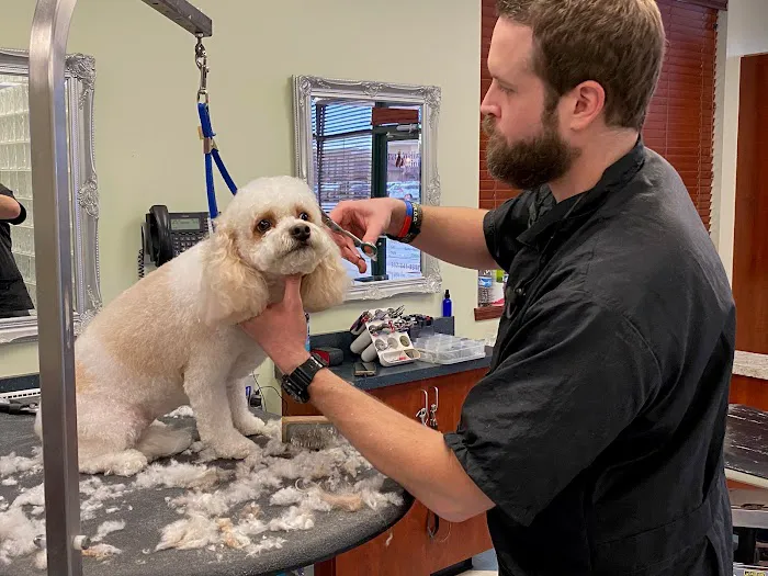 Bridgeview Pet Wellness Clinic Picture 4