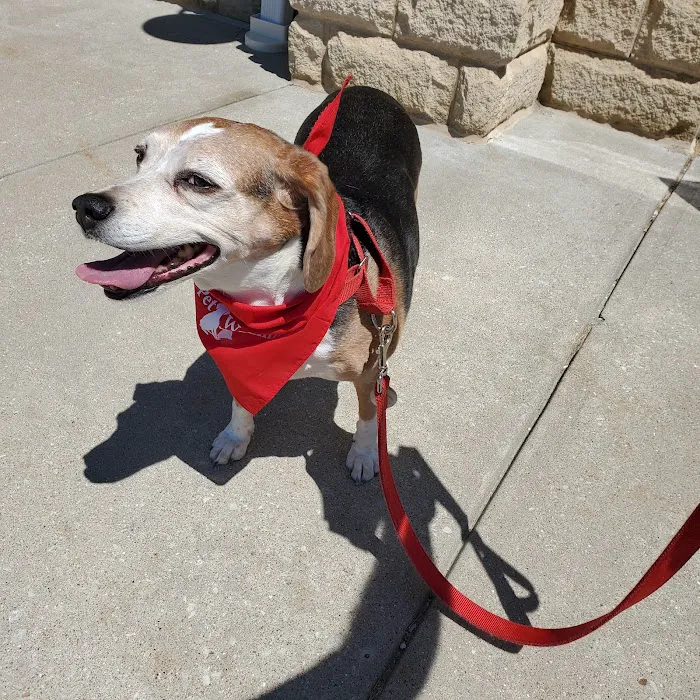 Bridgeview Pet Wellness Clinic Picture 6