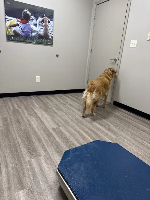 Bridgeview Pet Wellness Clinic Picture 8